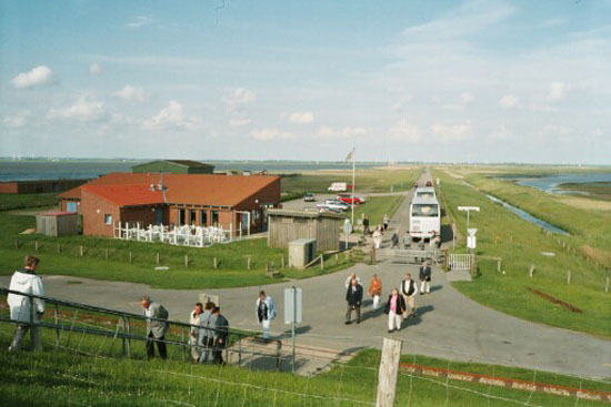 08konf