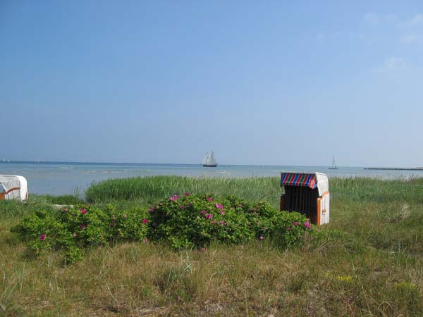 IMG_2432