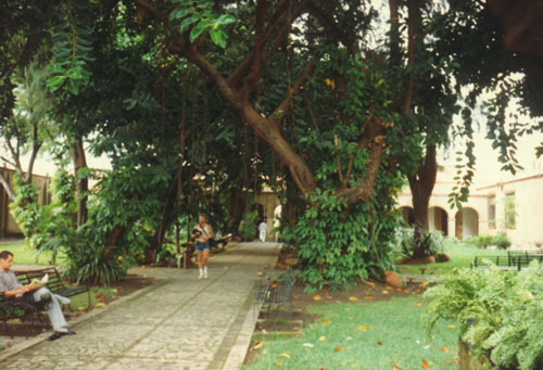 34stdomingo