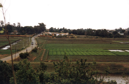 country