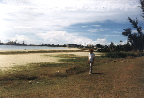 toamasina6