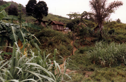 typicalvillage