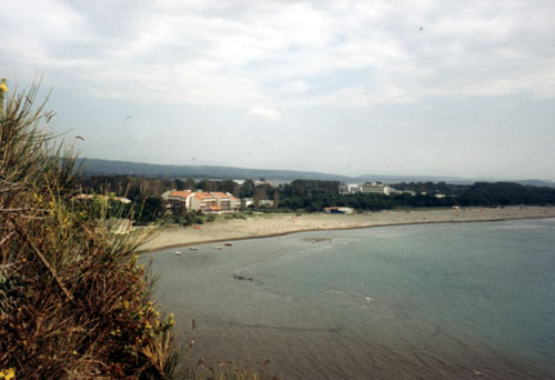 ada