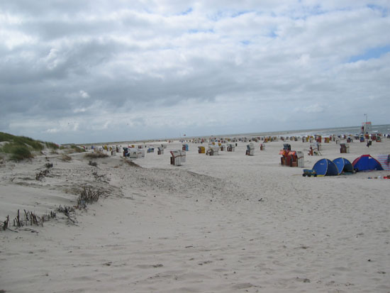 IMG_0489
