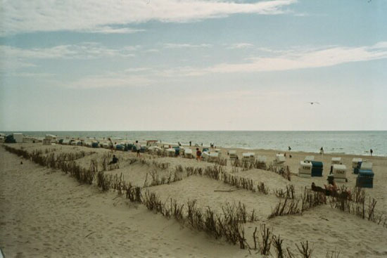 33westerland