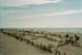 33westerland