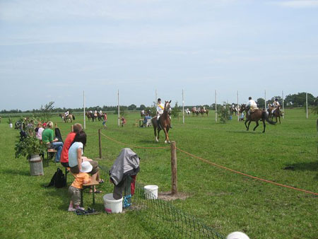 k-IMG_0781
