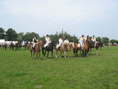 k-IMG_0786