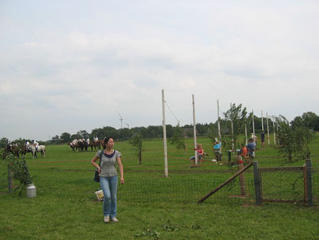k-IMG_0820