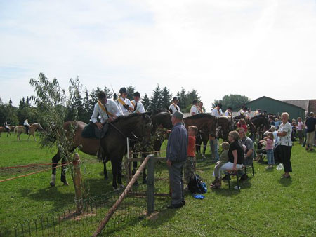 k-IMG_0850